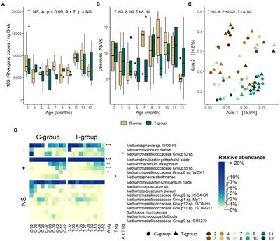 Long-term effects of early-life rumen microbiota modulation on dairy cow production performance and methane emissions